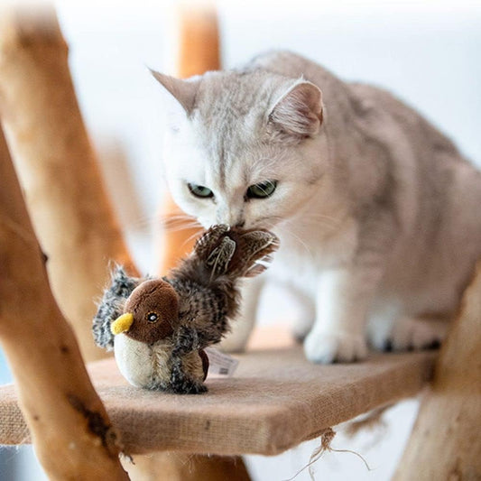 Interactive Chirping Bird Cat Toy
